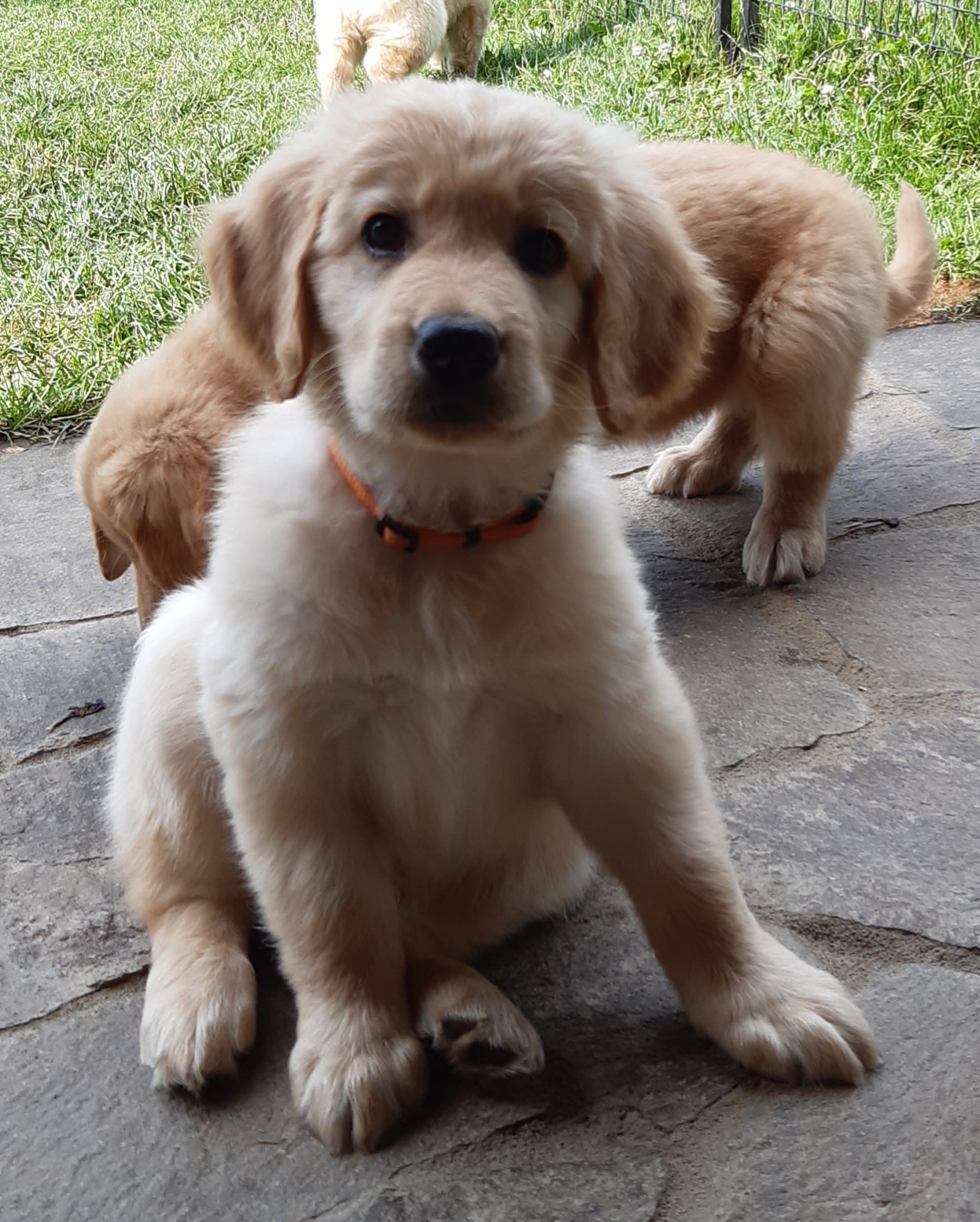 21.06.22 HERBIE