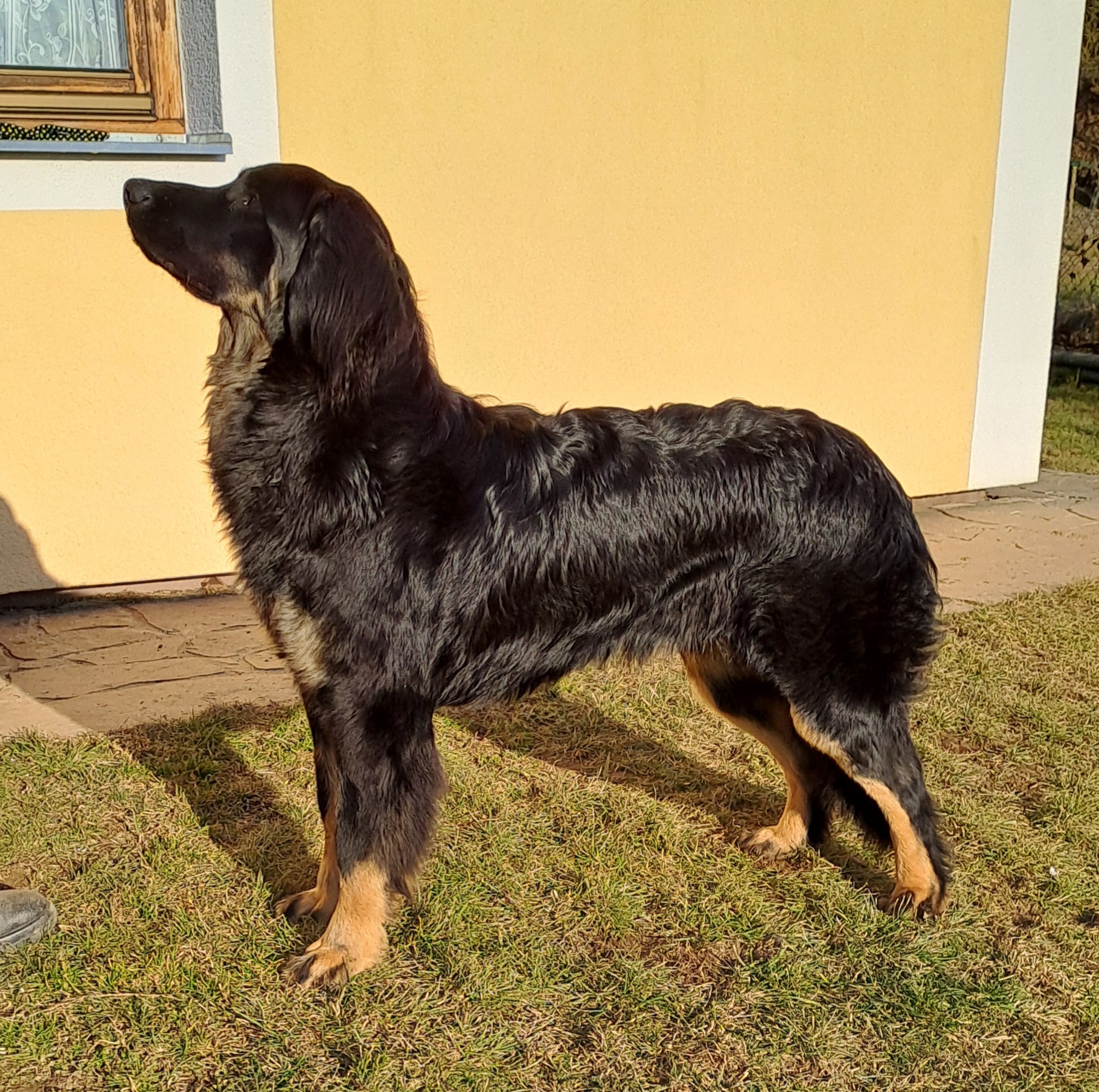 9 měsíců (1)