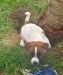 FLASH JACK (7)
